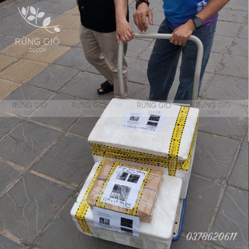 Dù mưa dù nắng, khách hàng có nhu cầu, Rừng Gió luôn hỗ trợ hết mình