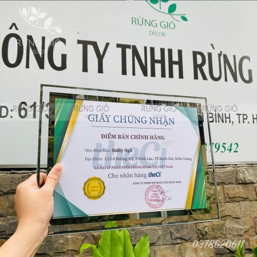 MẪU KHUNG HOT NHẤT NHÀ RỪNG GIÓ COMEBACK RỒI ĐÂY Ạ
