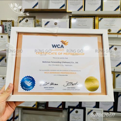 Một mẫu khung composite bán rất chạy tại nhà Rừng Gió